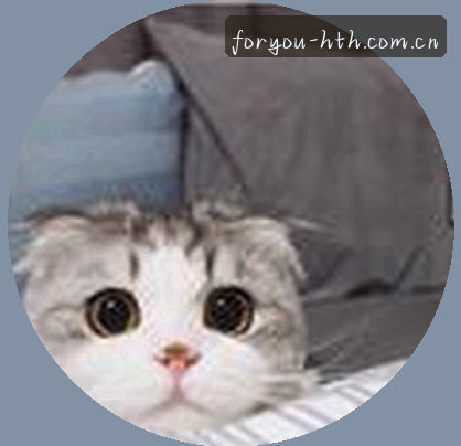 王磊